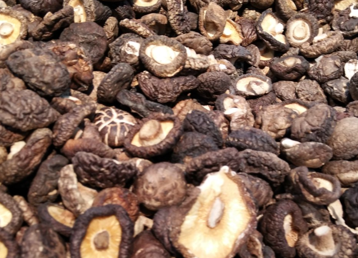 食品機械賦能 推動香菇產業(yè)高質量發(fā)展