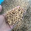 科爾黃豆微波熟化設(shè)備 雜糧低溫烘焙機(jī)
