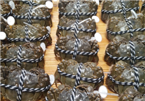 宁海一市“蟹经济”链条越拉越长越拉越强