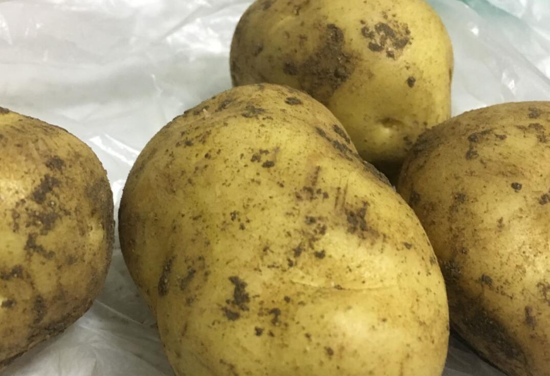 去皮设备市场升温：食品加工“前处理环节”正在被重新定义