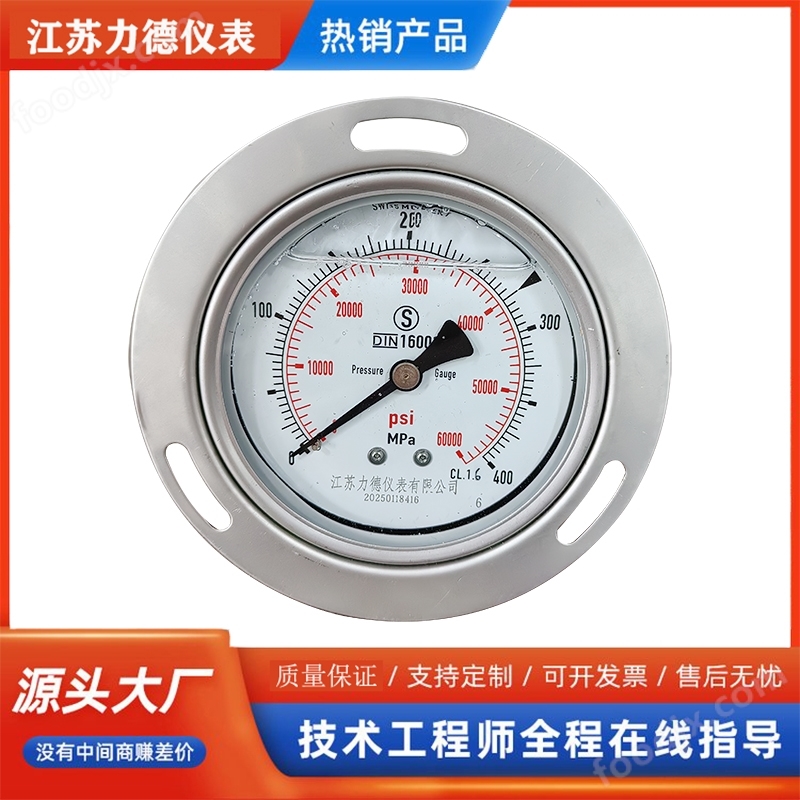 YTFN系列高壓壓力表0-400mpa