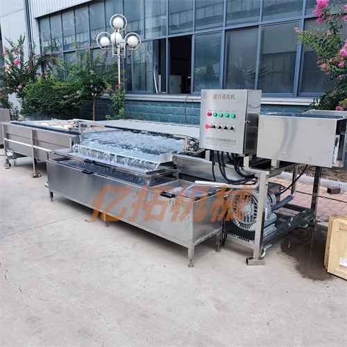 新型香菇去雜質(zhì)清洗機(jī)