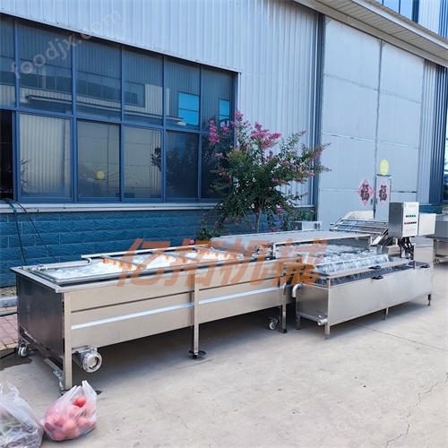 新型香菇去雜質(zhì)清洗機(jī)