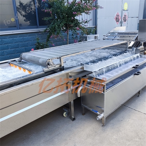 新型香菇去雜質(zhì)清洗機(jī)