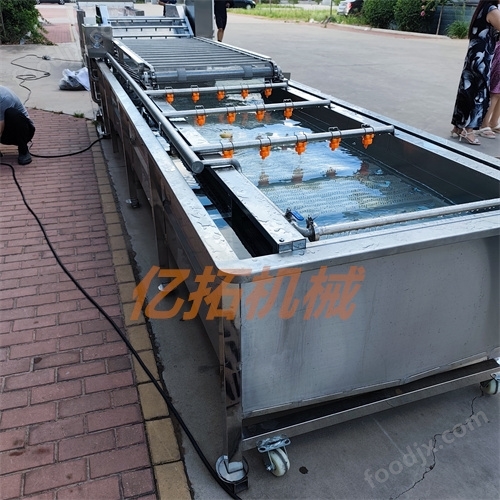 大型土豆凈菜加工流水線設(shè)備